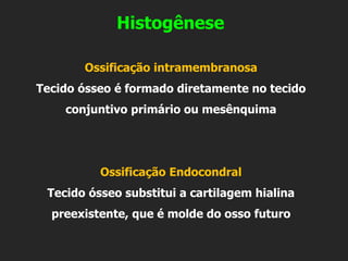 Histogênese
Ossificação intramembranosa
Tecido ósseo é formado diretamente no tecido
conjuntivo primário ou mesênquima
Ossificação Endocondral
Tecido ósseo substitui a cartilagem hialina
preexistente, que é molde do osso futuro
 