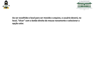 Ao ser escolhido o local para ser movido o arquivo, o usuário deverá, no
local, “clicar” com o botão direito do mouse novamente e selecionar a
opção colar.

 