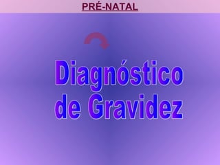 PRÉ-NATAL
 