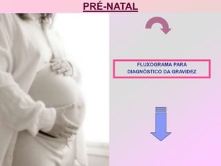 PRÉ-NATAL
FLUXOGRAMA PARA
DIAGNÓSTICO DA GRAVIDEZ
 