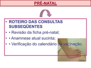 • ROTEIRO DAS CONSULTAS
SUBSEQÜENTES
• • Revisão da ficha pré-natal;
• • Anamnese atual sucinta;
• • Verificação do calendário de vacinação.
PRÉ-NATAL
 