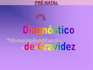 PRÉ-NATAL
 