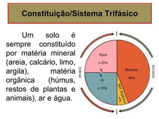 Um solo é
sempre constituído
por matéria mineral
(areia, calcário, limo,
argila), matéria
orgânica (húmus,
restos de plantas e
animais), ar e água.
Constituição/Sistema Trifásico
 