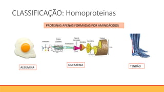 CLASSIFICAÇÃO: Homoproteinas
PROTEINAS APENAS FORMADAS POR AMINOÁCIDOS
ALBUMINA
QUERATINA TENDÃO
 
