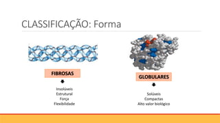 CLASSIFICAÇÃO: Forma
GLOBULARES
FIBROSAS
Insolúveis
Estrutural
Força
Flexibilidade
Solúveis
Compactas
Alto valor biológico
 