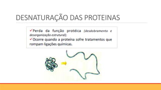 DESNATURAÇÃO DAS PROTEINAS
 
