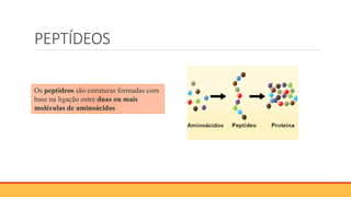 PEPTÍDEOS
Os peptídeos são estruturas formadas com
base na ligação entre duas ou mais
moléculas de aminoácidos
 