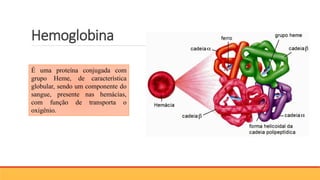 Hemoglobina
É uma proteína conjugada com
grupo Heme, de característica
globular, sendo um componente do
sangue, presente nas hemácias,
com função de transporta o
oxigênio.
 