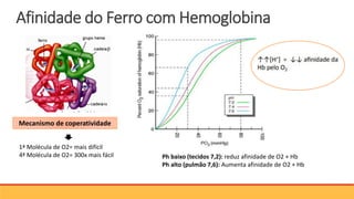 Mecanismo de coperatividade
1ª Molécula de O2= mais difícil
4ª Molécula de O2= 300x mais fácil Ph baixo (tecidos 7,2): reduz afinidade de O2 + Hb
Ph alto (pulmão 7,6): Aumenta afinidade de O2 + Hb
Afinidade do Ferro com Hemoglobina
 