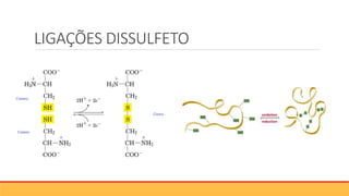 LIGAÇÕES DISSULFETO
 