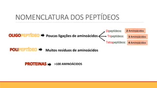 NOMENCLATURA DOS PEPTÍDEOS
Poucas ligações de aminoácidos
Muitos resíduos de aminoácidos
Dipeptídeos:
Tripeptídeos:
Tetrapeptídeos:
2 Aminoácidos
3 Aminoácidos
4 Aminoácidos
>100 AMINOÁCIDOS
 