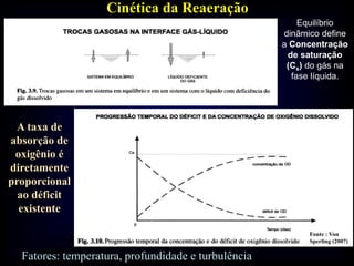 A taxa de
absorção de
oxigênio é
diretamente
proporcional
ao déficit
existente
Cinética da Reaeração
Fonte : Von
Sperling (2007)
Equilíbrio
dinâmico define
a Concentração
de saturação
(Cs) do gás na
fase líquida.
Fatores: temperatura, profundidade e turbulência
 