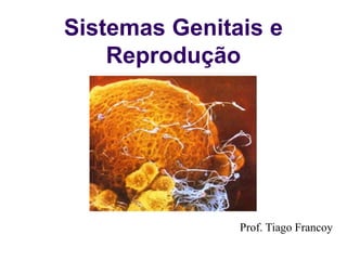 Sistemas Genitais e
Reprodução
Prof. Tiago Francoy
 