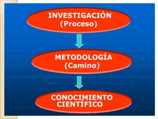 Comprehensive Guide to Scientific Research Methodology and Techniques | PDF