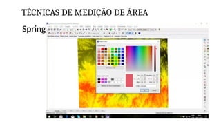 TÉCNICAS DE MEDIÇÃO DE ÁREA
Spring
 