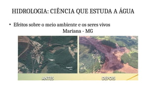 HIDROLOGIA: CIÊNCIA QUE ESTUDA A ÁGUA
• Efeitos sobre o meio ambiente e os seres vivos
Mariana - MG
 