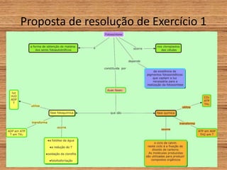 Proposta de resolução de Exercício 1
 