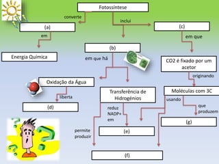Fotossíntese
(a)
(b)
(c)
Energia Química
CO2 é fixado por um
acetor
Moléculas com 3C
(g)
Oxidação da Água
Transferência de
Hidrogénios
(d)
(e)
inclui
converte
em
liberta
em que há
em que
originando
que
produzem
usando
(f)
reduz
NADP+
em
permite
produzir
 