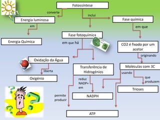 Fotossíntese
Energia luminosa
Fase fotoquímica
Fase química
Energia Química
CO2 é fixado por um
acetor
Moléculas com 3C
Trioses
Oxidação da Água
Transferência de
Hidrogénios
Oxigénio
NADPH
inclui
converte
em
liberta
em que há
em que
originando
que
produzem
usando
ATP
reduz
NADP+
em
permite
produzir
 