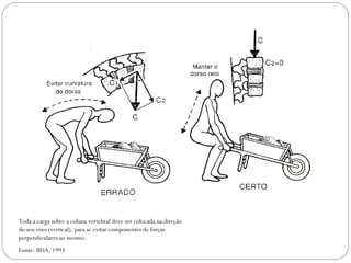 Toda a carga sobre a coluna vertebral deve ser colocada na direção do seu eixo (vertical), para se evitar componentes de forças perpendiculares ao mesmo. Fonte: IIDA, 1993 