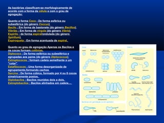 As bactérias classificam-se morfologicamente de
acordo com a forma da célula e com o grau de
agregação:
Quanto a forma Coco : De forma esférica ou
subesférica (do género Coccus)
Bacilo : Em forma de bastonete (do género Bacillus)
Vibrião : Em forma de vírgula (do género Vibrio)
Espirilo : de forma espiral/ondulada (do género
Spirillum)
Espiroqueta : Em forma acentuada de espiral.
Quanto ao grau de agregação Apenas os Bacilos e
os cocos formam colônias.
Diplococo : De forma esférica ou subesférica e
agrupadas aos pares (do género Diplococcus)
Estreptococos : formam cadeia semelhante a um
"colar"
Estafilococos : Uma forma desorganizada de
agrupamento,formando cachos
Sarcina : De forma cúbica, formado por 4 ou 8 cocos
simetricamente postos.
Diplobacilos : Bacilos reunidos dois a dois.
Estreptobacilos : Bacilos alinhados em cadeia....
 