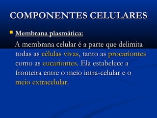 COMPONENTES CELULARESCOMPONENTES CELULARES
 Membrana plasmática:Membrana plasmática:
A membrana celular é a parte que delimitaA membrana celular é a parte que delimita
todas astodas as célulascélulas vivasvivas, tanto as, tanto as procariontesprocariontes
como ascomo as eucarionteseucariontes. Ela estabelece a. Ela estabelece a
fronteira entre o meio intra-celular e ofronteira entre o meio intra-celular e o
meio extracelularmeio extracelular..
 