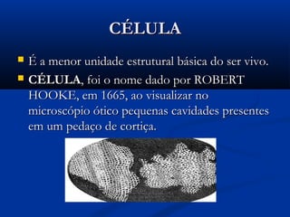 CÉLULACÉLULA
 É a menor unidade estrutural básica do ser vivo.É a menor unidade estrutural básica do ser vivo.
 CÉLULACÉLULA, foi o nome dado por ROBERT, foi o nome dado por ROBERT
HOOKE, em 1665, ao visualizar noHOOKE, em 1665, ao visualizar no
microscópio ótico pequenas cavidades presentesmicroscópio ótico pequenas cavidades presentes
em um pedaço de cortiça.em um pedaço de cortiça.
 