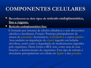 COMPONENTES CELULARESCOMPONENTES CELULARES
 Reconhecem-se dois tipos deReconhecem-se dois tipos de retículo endoplasmático,retículo endoplasmático,
liso e rugoso.liso e rugoso.
 Retículo endoplasmático liso:Retículo endoplasmático liso:
É formado por sistemas de túbulos cilíndricos e sem ribossomosÉ formado por sistemas de túbulos cilíndricos e sem ribossomos
aderidos a membrana. Função: Participa principalmente daaderidos a membrana. Função: Participa principalmente da
síntese desíntese de esteróidesesteróides (hormônios),(hormônios), fosfolipídiosfosfolipídios e outrose outros lipídioslipídios..
Atua também na degradação doAtua também na degradação do etanoletanol ingerido em bebidasingerido em bebidas
alcoólicas, assim como a degradação de medicamentos ingeridosalcoólicas, assim como a degradação de medicamentos ingeridos
pelo organismo. Desta forma o REL tem, como uma de suaspelo organismo. Desta forma o REL tem, como uma de suas
funções, a desintoxicação do organismo. Esse tipo de retículo éfunções, a desintoxicação do organismo. Esse tipo de retículo é
abundante principalmente em células doabundante principalmente em células do fígadofígado e dase das gônadasgônadas..
 