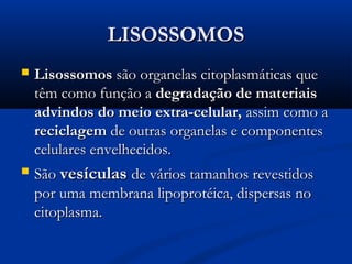 LISOSSOMOSLISOSSOMOS
 LisossomosLisossomos são organelas citoplasmáticas quesão organelas citoplasmáticas que
têm como função atêm como função a degradação de materiaisdegradação de materiais
advindos do meio extra-celular,advindos do meio extra-celular, assim como aassim como a
reciclagemreciclagem de outras organelas e componentesde outras organelas e componentes
celulares envelhecidos.celulares envelhecidos.
 SãoSão vesículasvesículas de vários tamanhos revestidosde vários tamanhos revestidos
por uma membrana lipoprotéica, dispersas nopor uma membrana lipoprotéica, dispersas no
citoplasma.citoplasma.
 