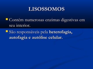 LISOSSOMOSLISOSSOMOS
 Contém numerosas enzimas digestivas emContém numerosas enzimas digestivas em
seu interior.seu interior.
 São responsáveis pelaSão responsáveis pela heterofagia,heterofagia,
autofagia e autólise celularautofagia e autólise celular..
 