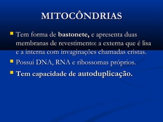 MITOCÔNDRIASMITOCÔNDRIAS
 Tem forma deTem forma de bastonete,bastonete, e apresenta duase apresenta duas
membranas de revestimento: a externa que é lisamembranas de revestimento: a externa que é lisa
e a interna com invaginações chamadas cristas.e a interna com invaginações chamadas cristas.
 Possui DNA, RNA e ribossomas próprios.Possui DNA, RNA e ribossomas próprios.
 Tem capacidade deTem capacidade de autoduplicação.autoduplicação.
 