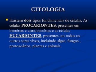 CITOLOGIACITOLOGIA
 ExistemExistem doisdois tipos fundamentais de células. Astipos fundamentais de células. As
célulascélulas PROCARIONTESPROCARIONTES, presentes em, presentes em
bactérias e cianobactérias e as célulasbactérias e cianobactérias e as células
EUCARIONTESEUCARIONTES, presentes em todos os, presentes em todos os
outros seres vivos, incluindo algas, fungos ,outros seres vivos, incluindo algas, fungos ,
protozoários, plantas e animais.protozoários, plantas e animais.
 