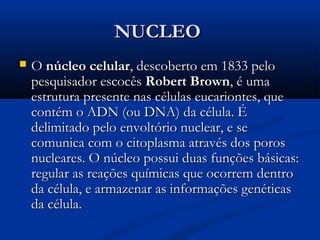 NUCLEONUCLEO
 OO núcleo celularnúcleo celular, descoberto em 1833 pelo, descoberto em 1833 pelo
pesquisador escocêspesquisador escocês Robert BrownRobert Brown, é uma, é uma
estrutura presente nas células eucariontes, queestrutura presente nas células eucariontes, que
contém o ADN (ou DNA) da célula. Écontém o ADN (ou DNA) da célula. É
delimitado pelo envoltório nuclear, e sedelimitado pelo envoltório nuclear, e se
comunica com o citoplasma através dos poroscomunica com o citoplasma através dos poros
nucleares. O núcleo possui duas funções básicas:nucleares. O núcleo possui duas funções básicas:
regular as reações químicas que ocorrem dentroregular as reações químicas que ocorrem dentro
da célula, e armazenar as informações genéticasda célula, e armazenar as informações genéticas
da célula.da célula.
 