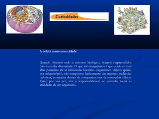  
A célula como uma cidade
 
 
Quando olhamos todo o universo biológico, ficamos surpreendidos
com tamanha diversidade. O que não imaginamos é que desde as mais
altas palmeiras até as minúsculas bactérias (organismos visíveis apenas
por microscópio), são compostos basicamente das mesmas moléculas
químicas, arranjadas dentro de compartimentos denominados células.
Estas, por sua vez, têm a responsabilidade de controlar todas as
atividades de um organismo.
 