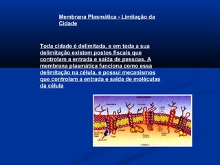 Membrana Plasmática - Limitação da
Cidade
Toda cidade é delimitada, e em toda a sua
delimitação existem postos fiscais que
controlam a entrada e saída de pessoas. A
membrana plasmática funciona como essa
delimitação na célula, e possui mecanismos
que controlam a entrada e saída de moléculas
da célula
 