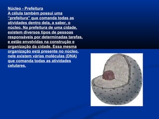 Núcleo - Prefeitura
A célula também possui uma
“prefeitura” que comanda todas as
atividades dentro dela, a saber, o
núcleo. Na prefeitura de uma cidade,
existem diversos tipos de pessoas
responsáveis por determinadas tarefas,
e estão envolvidas na construção e
organização da cidade. Essa mesma
organização está presente no núcleo,
nele existem várias moléculas (DNA)
que comanda todas as atividades
celulares.
 
