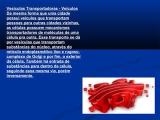 Vesículas Transportadoras - Veículos
Da mesma forma que uma cidade
possui veículos que transportam
pessoas para outras cidades vizinhas,
as células possuem mecanismos
transportadores de moléculas de uma
célula pra outra. Esse transporte se dá
por vesículas que transportam
substâncias do núcleo, através do
retículo endoplasmático liso e rugoso,
complexo de Golgi e por fim, o exterior
da célula. Também há entrada de
substâncias para dentro da célula,
seguindo essa mesma via, porém
inversamente.
 