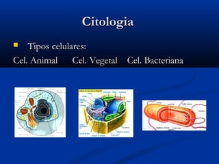 CitologiaCitologia
 Tipos celulares:Tipos celulares:
Cel. Animal Cel. Vegetal Cel. BacterianaCel. Animal Cel. Vegetal Cel. Bacteriana
 