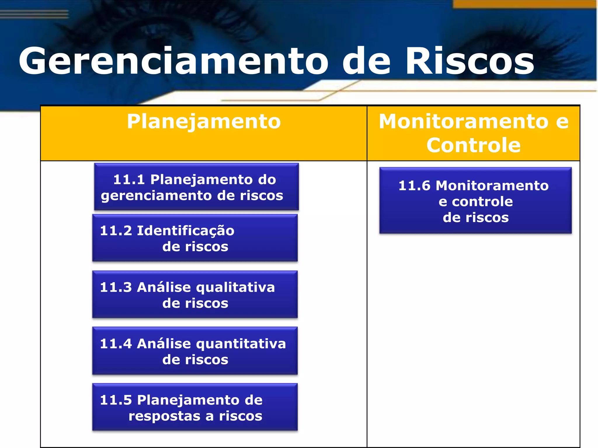 Gerenciamento de Riscos
      Planejamento             Monitoramento e
                                  Controle
    11.1 Planejamento do        11.6 Monitoramento
   gerenciamento de riscos           e controle
                                      de riscos
   11.2 Identificação
           de riscos


   11.3 Análise qualitativa
           de riscos


   11.4 Análise quantitativa
           de riscos


   11.5 Planejamento de
       respostas a riscos
 