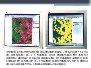 • Exemplo de interpretação de uma imagem digital TM-Landsat-5 na tela
  do computador (a) e o resultado dessa interpretação (b). Em (a)
  podemos observar as classes delimitadas em polígonos amarelo com
  ajuda de um cursor. Em (b), o resultado da interpretação, com as classes
  de vegetação em verde, e desmatamento, em amarelo.
 