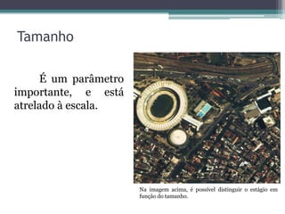 Tamanho

     É um parâmetro
importante, e está
atrelado à escala.




                      Na imagem acima, é possível distinguir o estágio em
                      função do tamanho.
 