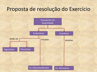 Proposta de resolução do Exercício
Transporte em
Quantidade
Endocitose Exocitose
Ex. Macromoléculas Ex. Hormonas
Fagocitose Pinocitose
pode ser envolve envolve
 