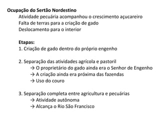 Ocupação do Sertão Nordestino
    Atividade pecuária acompanhou o crescimento açucareiro
    Falta de terras para a criação de gado
    Deslocamento para o interior

    Etapas:
    1. Criação de gado dentro do próprio engenho

    2. Separação das atividades agrícola e pastoril
         → O proprietário do gado ainda era o Senhor de Engenho
         → A criação ainda era próxima das fazendas
         → Uso do couro

    3. Separação completa entre agricultura e pecuárias
         → Atividade autônoma
         → Alcança o Rio São Francisco
 
