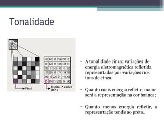 • A tonalidade cinza: variações de
energia eletromagnética refletida
representadas por variações nos
tons de cinza.
• Quanto mais energia refletir, maior
será a representação na cor branca;
• Quanto menos energia refletir, a
representação tende ao preto.
Tonalidade
 