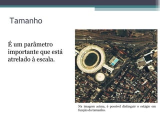 Tamanho
É um parâmetro
importante que está
atrelado à escala.
Na imagem acima, é possível distinguir o estágio em
função do tamanho.
 