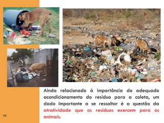 50

Ainda relacionado à importância do adequado
acondicionamento do resíduo para a coleta, um
dado importante a se ressaltar é a questão da
atratividade que os resíduos exercem para os
animais.

 
