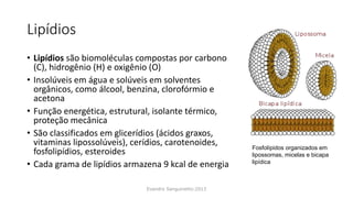 Lipídios
• Lipídios são biomoléculas compostas por carbono
(C), hidrogênio (H) e oxigênio (O)
• Insolúveis em água e solúveis em solventes
orgânicos, como álcool, benzina, clorofórmio e
acetona
• Função energética, estrutural, isolante térmico,
proteção mecânica
• São classificados em glicerídios (ácidos graxos,
vitaminas lipossolúveis), cerídios, carotenoides,
fosfolipídios, esteroides
• Cada grama de lipídios armazena 9 kcal de energia
Evandro Sanguinetto-2013
Fosfolípidos organizados em
lipossomas, micelas e bicapa
lipídica
 