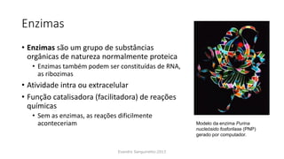 Enzimas
• Enzimas são um grupo de substâncias
orgânicas de natureza normalmente proteica
• Enzimas também podem ser constituídas de RNA,
as ribozimas
• Atividade intra ou extracelular
• Função catalisadora (facilitadora) de reações
químicas
• Sem as enzimas, as reações dificilmente
aconteceriam
Evandro Sanguinetto-2013
Modelo da enzima Purina
nucleósido fosforilase (PNP)
gerado por computador.
 