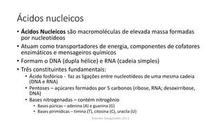 Ácidos nucleicos
Evandro Sanguinetto-2013
• Ácidos Nucleicos são macromoléculas de elevada massa formadas
por nucleotídeos
• Atuam como transportadores de energia, componentes de cofatores
enzimáticos e mensageiros químicos
• Formam o DNA (dupla hélice) e RNA (cadeia simples)
• Três constituintes fundamentais:
• Ácido fosfórico - faz as ligações entre nucleotídeos de uma mesma cadeia
(DNA e RNA)
• Pentoses – açúcares formados por 5 carbonos (ribose, RNA; desoxirribose,
DNA)
• Bases nitrogenadas – contém nitrogênio
• Bases púricas – adenina (A) e guanina (G)
• Bases pirimídicas – timina (T), citosina (C), uracila (U)
 