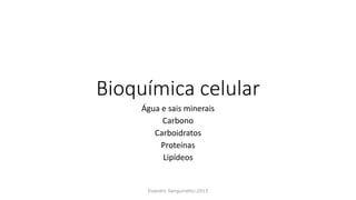 Bioquímica celular
Água e sais minerais
Carbono
Carboidratos
Proteínas
Lipídeos
Evandro Sanguinetto-2013
 